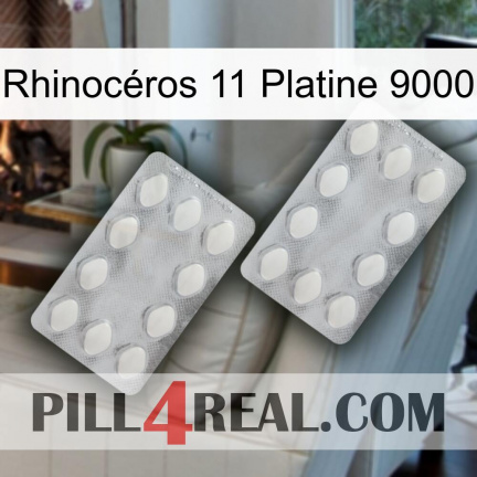 Rhinocéros 11 Platine 9000 17